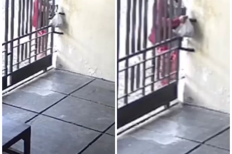 Video Detik-detik Seorang Emak-emak nekat Curi Daging Kurban di Sebuah Rumah di Sidoarjo (Tangkapan layar/ Instagram @memomedsos)