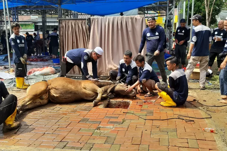 ada pelaksanaan Idul Adha 1445 H, Masjid Al Madinah Mutiara Bogor Raya (MBR) Katulampa, Kota Bogor, membagikan sebanyak 2.000 paket daging kurban (dok pribadi)