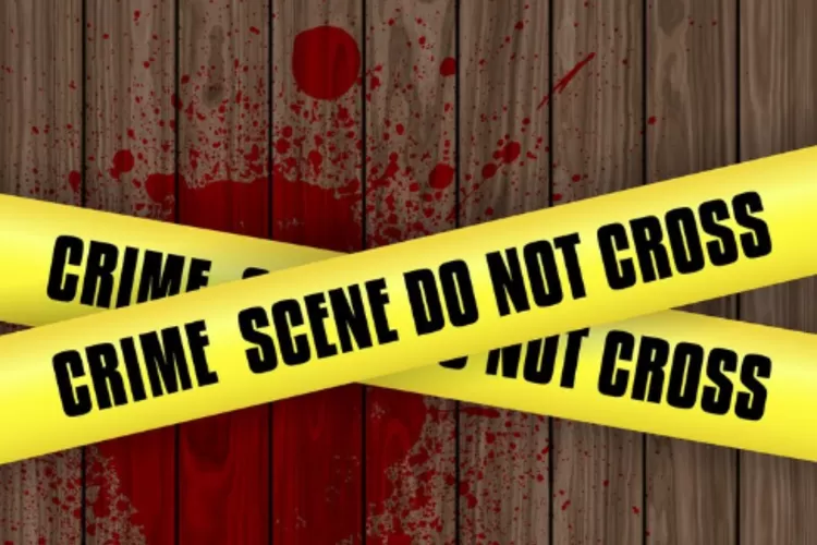 Kronologi Anak Perempuan di Duren Sawit, Jakarta Timur Bunuh Ayah Kandung Sendiri (Ilustrasi) (kjpargeter)