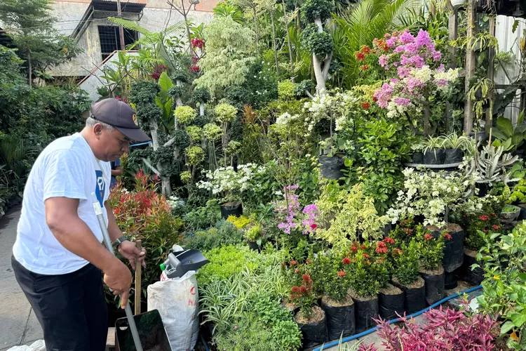 Ketua Klaster Bunga Bratang, Agus Subali. 