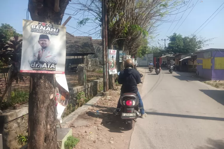 spanduk bakal calon Bupati Karawang terpasang di pohon hingga tiang listrik jalanan Kabupaten Karawang. (Herman)