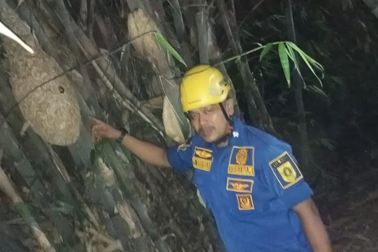 Petugas Damkar Kabupaten Bogor saat mengevakuasi sarang tawon di Pondokrajeg, Cibinong, Kabupaten Bogor. (Damkar Kabupaten Bogor)