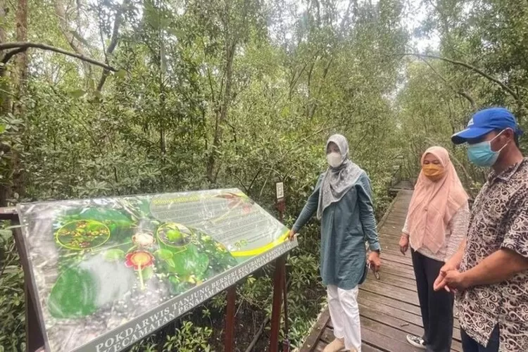 Salah satu tempat wisata di IKN yang menawarkan panorama Alam sangat menawan untuk Liburan yaitu Ekowisata Mangrove Kampung Baru. (diskominfo.kaltimprov.go.id)