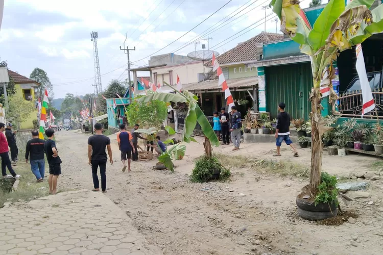 Warga tanam pohon pisang di tengah jalan rusak di Pasirangin, lantaran kecewa Pemkab Purwakarta tutup mata atas kondisi tersebut (Aik/Metropolitan)