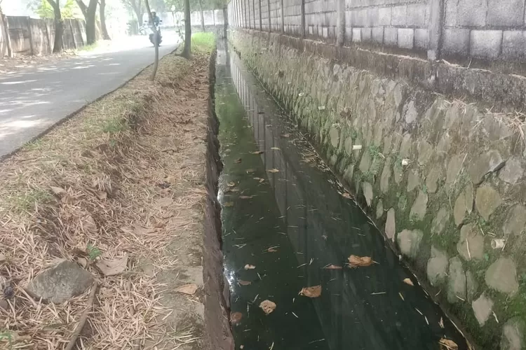 kondisi belakang pabrik PT Calbe Wings yang mengeluarkan bau tak sedap (Herman)