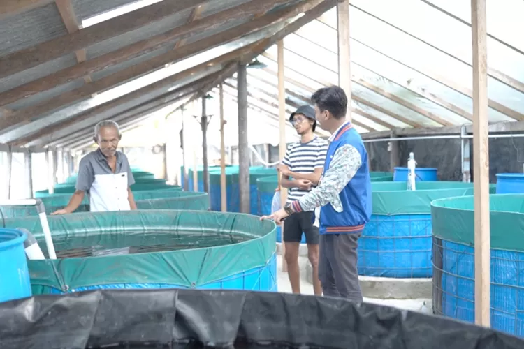 Salah satu program dari Desa BRILiaN 2024 yang diselenggarakan BRI. 