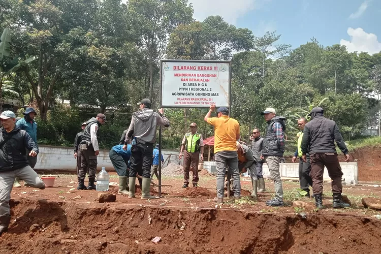 Pemasangan plang PTPN 1 Regional 2 dipasang di Desa Citeko, Kecamatan Cisarua, Kabupaten Bogor, sebagai langkah untuk memperkuat pengamanan aset negara. (Rijal/Metropolitan )