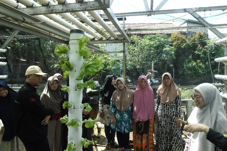 Sekolah Vokasi IPB memperkenalkan sistem hidroponik kepada KWT Ciharashas.. (Dok IPB)