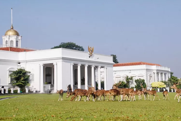 Inilah Cikal Bakal dan Perjalanan Sejarah Kejayaan Istana Bogor - Cikal Bakal Kejayaan Istana Bogor