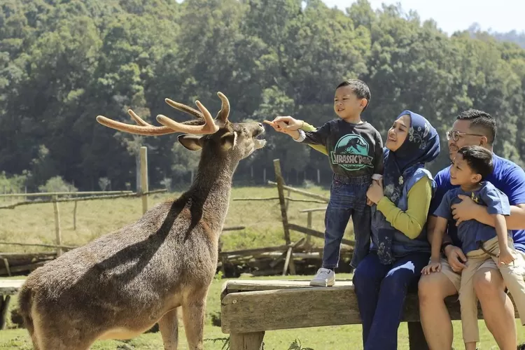 Salah satu tempat wisata di Ciwidey Bandung, Ranca Upas. (Instagram/@ranca_upas)