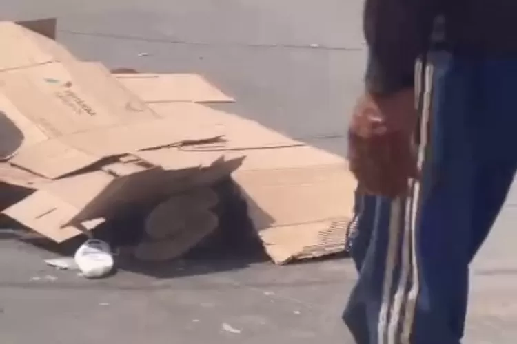 Kecelakaan lalu lintas terjadi di Jalan Raya Jonggol - Cariu, Kabupaten Bogor, Senin, 7 Oktober 2024. (Ist)