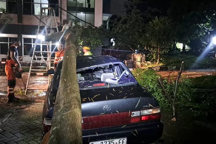 Kondisi mobil tertimpa pohon tumbang di sebrang Kampus UIKA Bogor.  (Dok BPBD Kota Bogor)