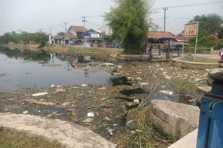 Sungai Citarum di Kampung Barugbig, Desa Situ Dam, Kabupaten Karawang diduga tercemar limbah cair milik pabrik yang berada di Purwakarta. (Herman)