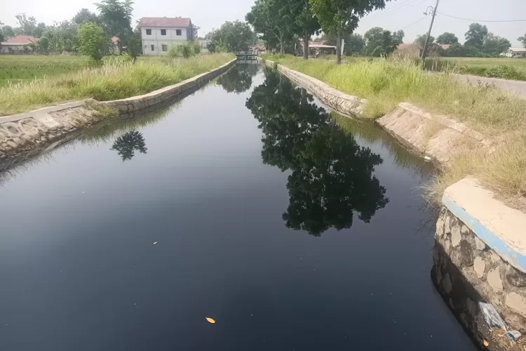 Pencemaran sungai Cilamaya dan Citarum di Karawang (Herman)