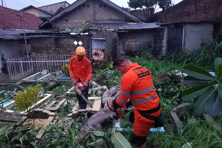 Cuaca ekstrem yang terjadi di Kota Bogor, pohon tumbang pun terjadi dan timpa makam hingga rumah warga Pasir Kuda (BPBD Kota Bogor)
