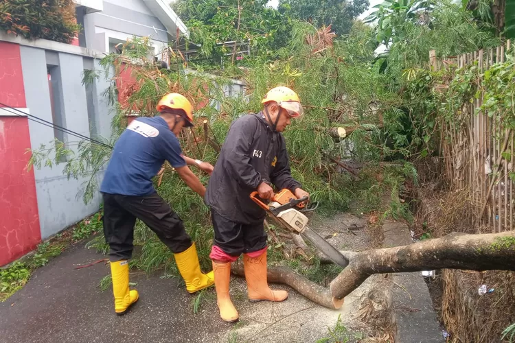Penanganan pohon yang tumbang yang menghalangi jalan di jln pemuda RT 04/06 Kelurahan Citamiang Kecamatan Citamiang Kota Sukabumi  (ist)