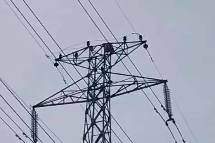 seorang gadis di Desa Waringin Jaya, Kecamatan Bojonggede, Kabupaten Bogor nekat naik ke Sutet, Kamis, 14 November 2024. (Tangkapan layar)