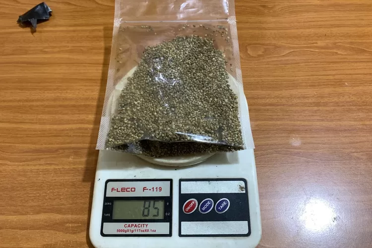 Barang bukti biji ganja yang diamankan Polres Bogor dari seorang pria di Kemang, Kabupaten Bogor. (Panca)