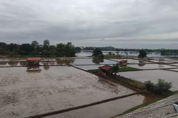 Petani di Kabupaten Karawang berharap stok pupuk aman di saat menjelang memulai masa tanam di beberapa kecamatan (ist)