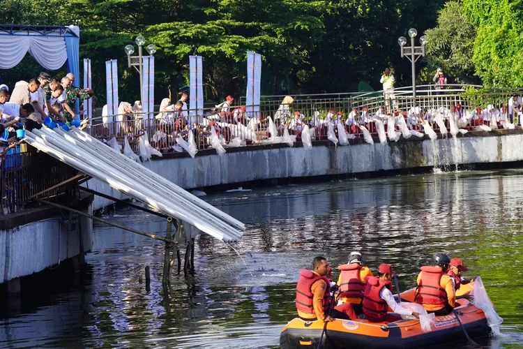 Penebaran benih ikan di Cibinong Situ Plaza, Cibinong, Kabupaten Bogor, Jumat, 13 Desember 2024. (Diskominfo)