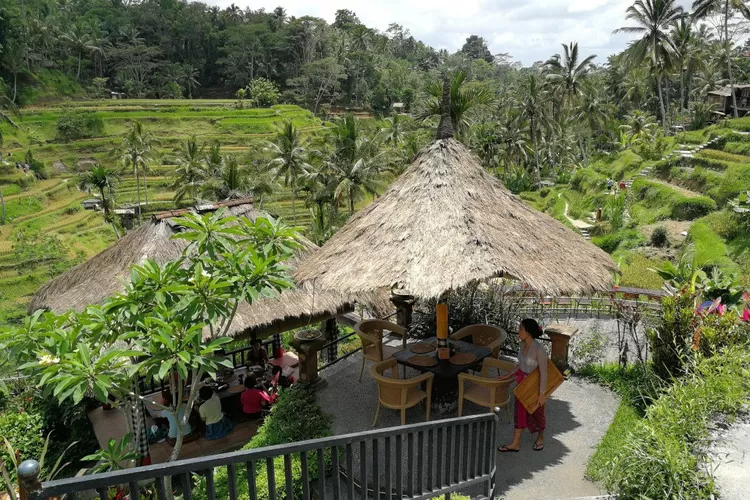 Yuk lihat sederet cafe di Bali yang memiliki view sawah mempesona buat liburan bersama orang tersayang (Twitter@kirahibi_blog)