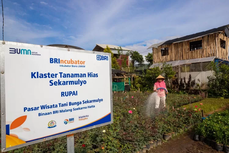 Ilustrasi tempat usaha yang mendapatkan bantuan dari BRI. 