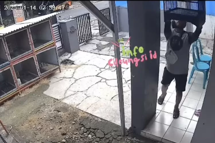 Aksi pencurian burung di Jonggol, Kabupaten Bogor terekam CCTV. (Tangkapan layar Instagram Info Cileungsi)