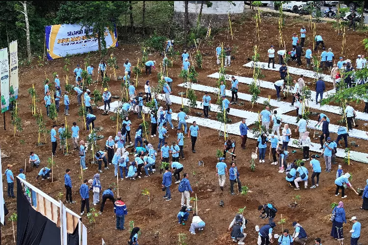 Pemkab Bogor bersama KLHK melakukan penanaman pohon di kawasan Agrowisata Gunung Mas Puncak Bogor, Kecamatan Cisarua, Kabupaten Bogor, Kamis, 16 Januari 2025. (Diskominfo)