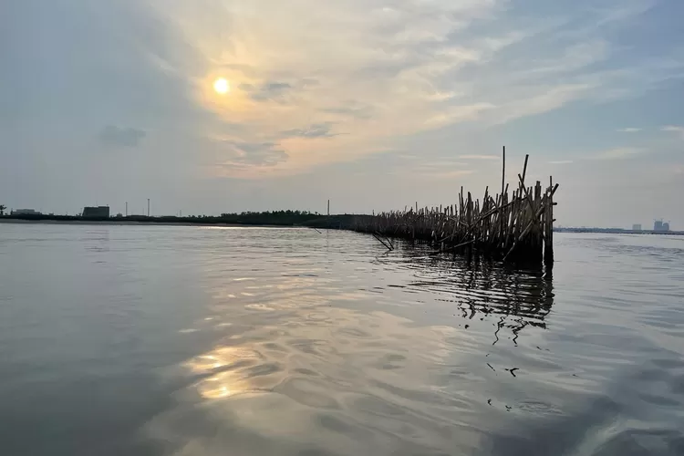 Pagar laut yang membentang sekitar 30 kilometer di pesisir pantai utara (Pantura) Kabupaten Tangerang, Banten.  (X/@elisa_jkt)