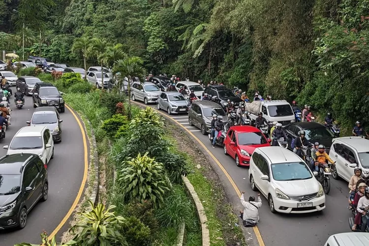 Berikut jadwal rekayasa lalu lintas Ganjil Genap (Gage) dan Satu Arah (One Way) di Puncak, Bogor pada Minggu, 9 November 2025. (Panca)