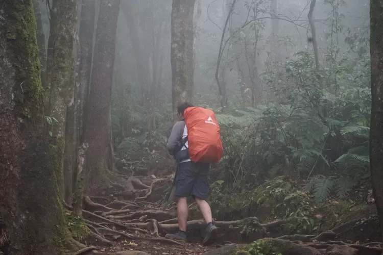 Ilustrasi pendakian gunung. Seorang pendaki dikabarkan hilang di Gunung Joglo Puncak Bogor, Cisarua, Kabupaten Bogor. (Arifin/Metropolitan)