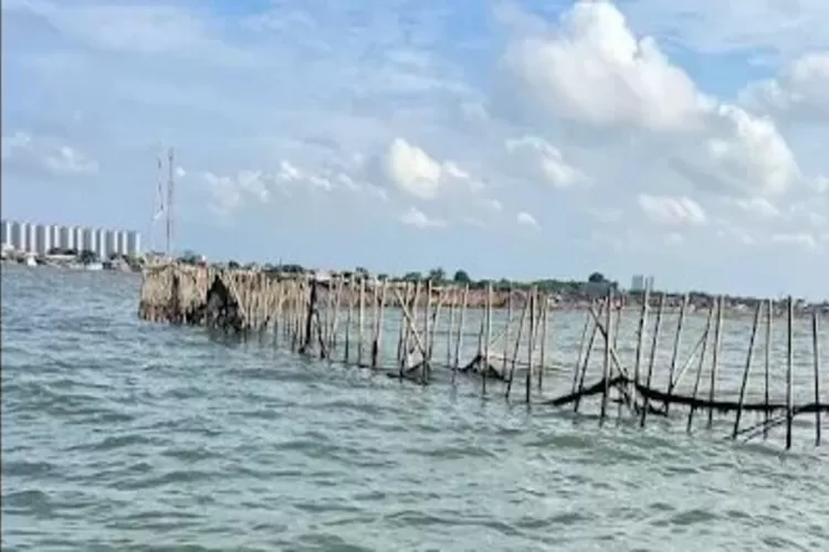 Pagar laut Tangerang yang sempat menggemparkan Indonesia menemui babak baru, Kepala Desa Kohod telah ditetapkan sebagai tersangka. (panjiislam.com)