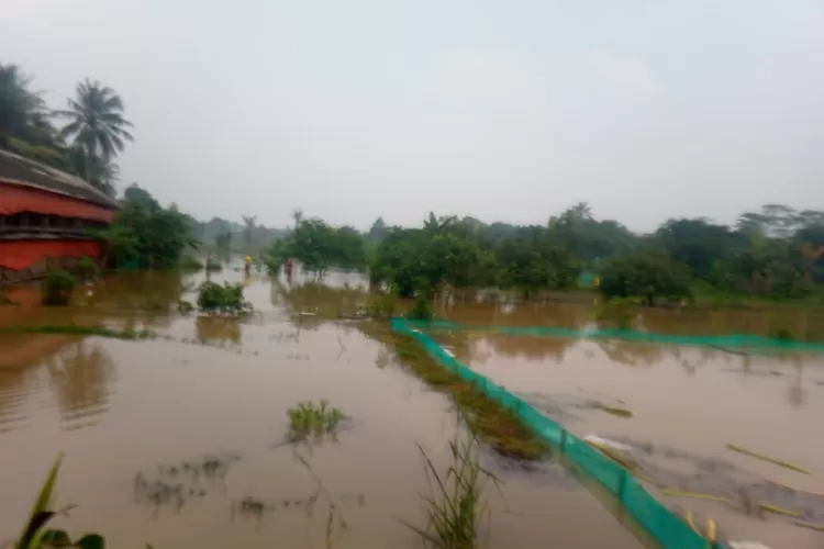 kolam ikan milik warga di Desa Babakan, Kecamatan Ciseeng, Kabupaten Bogor terendam banjir. (Mulya Diva)