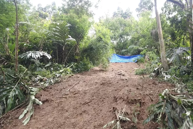 Ilustrasi longsor di Puncak Bogor. Seorang pemburu dikabarkan hilang tertimbun longsor saat berburu di Cisarua, Kabupaten Bogor. (Ist)