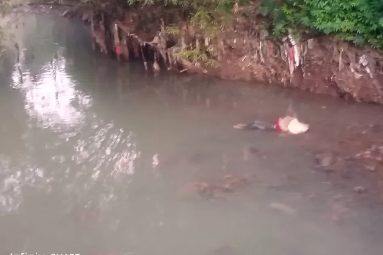 Penemuan mayat di Sungai Ciapus Desa Laladon, Kecamatan Ciomas, Kabupaten Bogor, Selasa, 11 Maret 2025. (Ade)