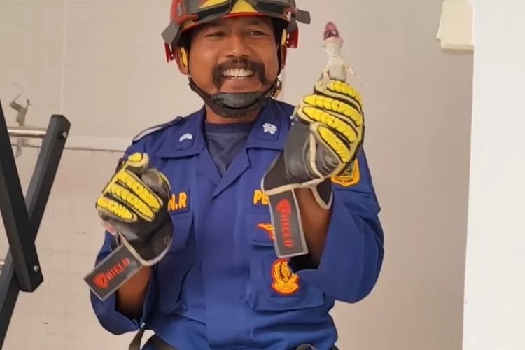 Petugas Damkar menangkap tokek di rumah warga di Perumahan Ervina, Kelurahan Nanggewer Mekar, Kecamatan Cibinong, Kabupaten Bogor. (Damkar Kabupaten Bogor)