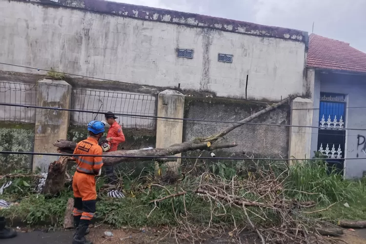 Pohon tumbang di Kelurahan Menteng, Kecamatan Bogor Barat, Kota Bogor. (BPBD Kota Bogor)