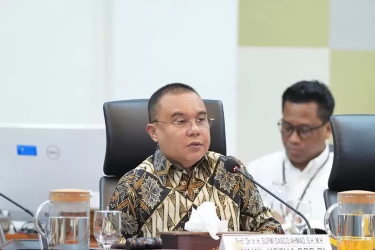 Wakil Ketua DPR RI, Sufmi Dasco Ahmad. (Instagram/@sufmi_dasco)
