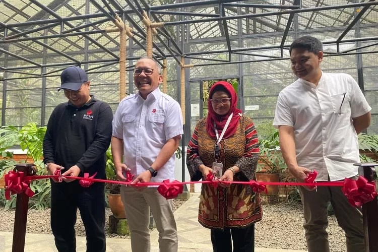 Kebun Raya Bogor (KRB) melaunching Rumah Kaca Taman Begonia untuk memberikan pelayanan bagi para pecinta tumbuhan (ist)