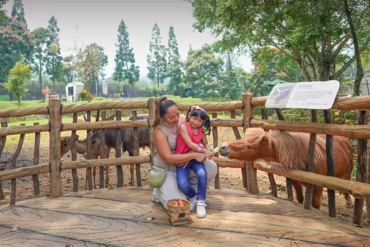Mari rayakan Lebaran berkesan di Royal Safari Garden Puncak Bogor, paket komplit Glorious Eid Safari, nginap dengan berbagai aktivitas seru (IST)