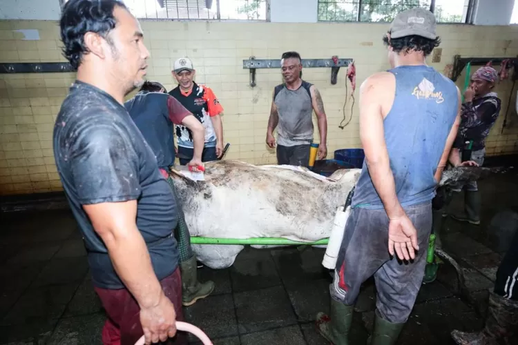 Wali Kota Bandung, Muhammad Farhan mengunjungi Rumah Potong Hewan (RPH) Ciroyom, memastikan kebutuhan saat Lebaran (jabarprov)