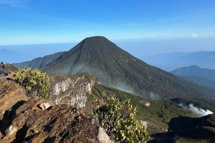 Kawasan Gunung Gede Pangrango, Jawa Barat. (Instagram/@gn.gedepangrango)