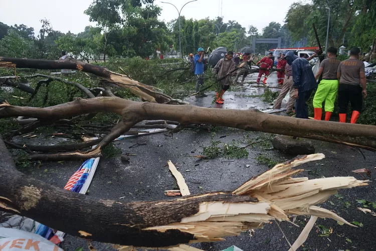 Pohon tumbang menutup akses jalan menuju komplek perkantoran Pemkab Bogor di Jalan Tegar Beriman, Cibinong, Minggu, 6 April 2025. (Arifin - Metropolitan)