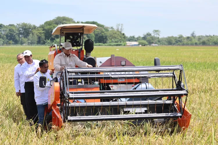 Presiden Prabowo saat memimpin panen raya serentak bersama 14 provinsi di seluruh Indonesia di Majalengka, Jawa Barat, Senin, 7 april 2025. (Tim media Presiden)