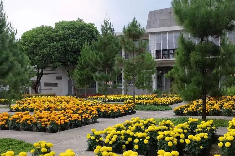 Buat kamu yang ingin pergi liburan healing, nih catat beberapa tempat wisata di berbagai daerah (Instagram/@rumahatsiri)