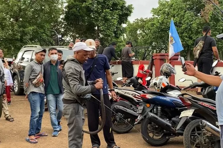 Warga menangkap ular yang didapat saat memancing di lokasi manging massal di situ depan Gedung Kesenian, Cibinong, Kabupaten Bogor, Senin, 14 April 2025. (Fahriza)