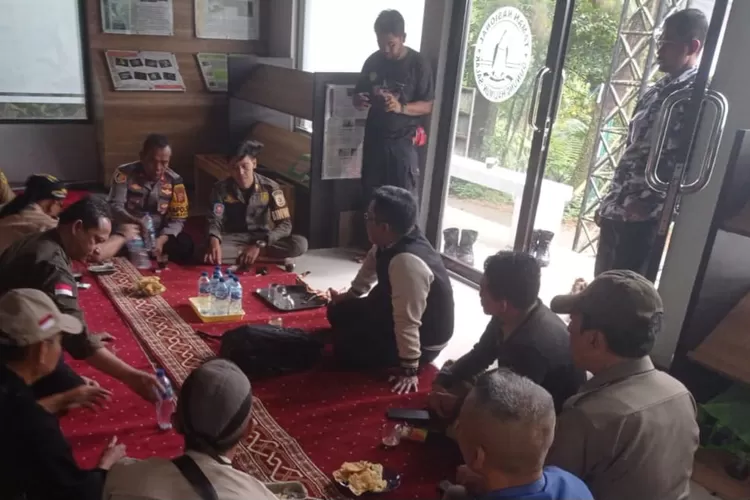 Balai Besar TNGHS membantah isu penebangan pohon di area Bumi Perkemahan Sukamantri, Tamansari, Kabupaten Bogor. (Rizal)