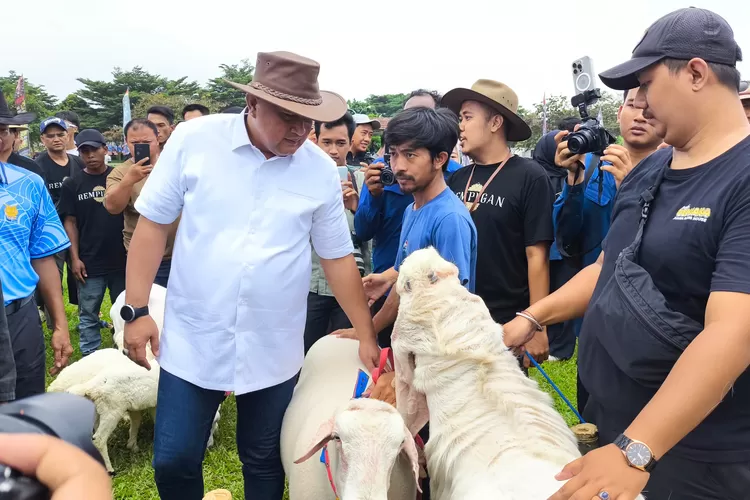 Bupati Bogor Rudy Susmanto saat lomba seni ketangkasan domba Garut di Stadion Pakansari, Kecamatan Cibinong, Kabupaten Bogor, Minggu, 20 April 2025. (Panca)