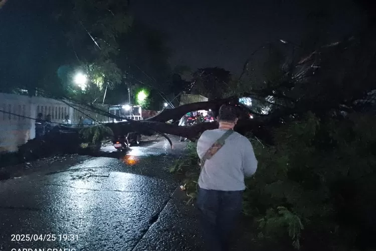 Pohon tumbang di Jalan Mercedes Benz, Desa Tlajung udik, Kecamatan Gunungputri, Kabupaten Bogor timpa pengendara. (Ist)