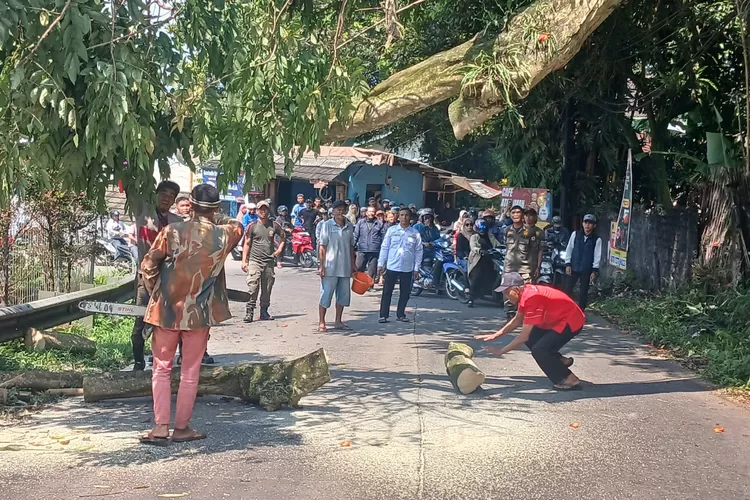 Pohon tumbang di jalur alternatif Caringin - Cijeruk, tepatnya di Jalan Raya Maseng, Kecamatan Cigombong, Kabupaten Bogor, Rabu, 30 April 2025. (Anto)